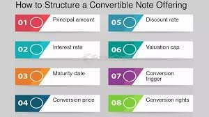 The Role of Convertible Notes and Equity Offerings in the Model