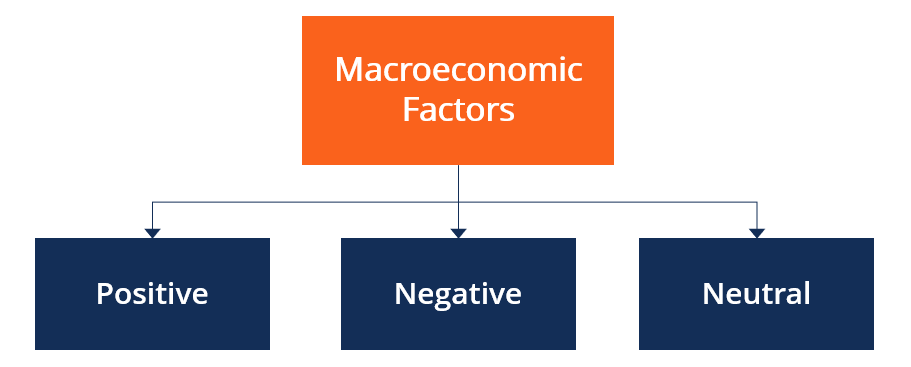Macroeconomic Forces: The Bigger Picture