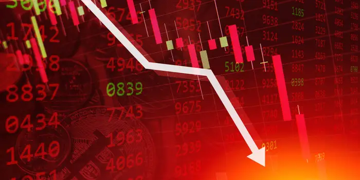 The Stock Price Collapse and Retail Investor Fallout